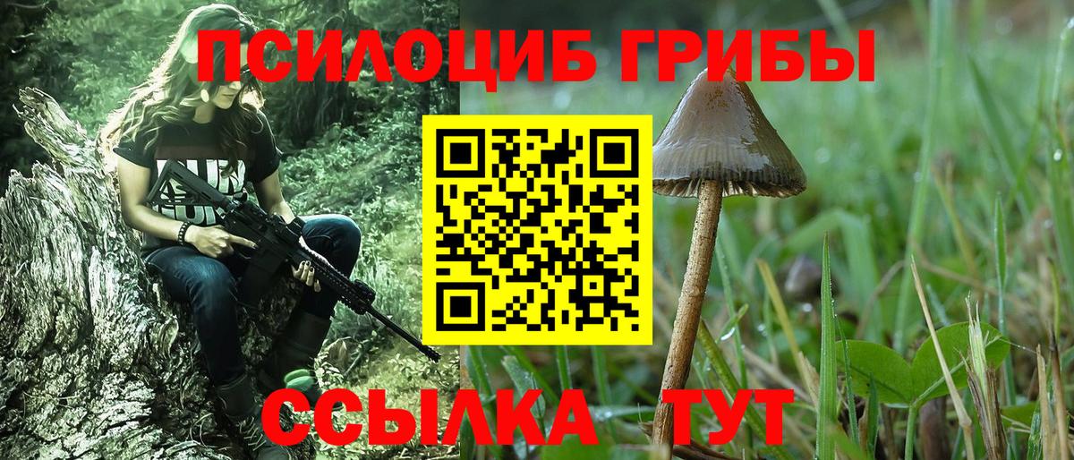 Ярцево  Псилоцибиновые грибы Cubensis  Вход с VPN 